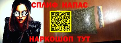 спиды Кандалакша