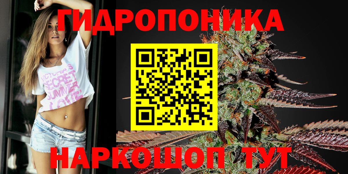 Марихуана конопля  Вход с VPN  Канабис White Widow  Котлас  Канабис White Widow 